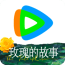 桃鹿沅芷